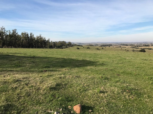 Hermoso Campo De 123 Has. Vistas A Las Sierras (ref. 2117)