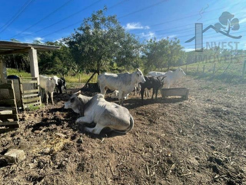 Imagem 14 de 15 de Cod - 5711 - Lindo Sitio Medindo 30 Mil M² Em Ibiuna - 5711