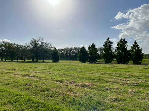 Lote Interno Al Arroyo En Estancias Carabassa (eidico)