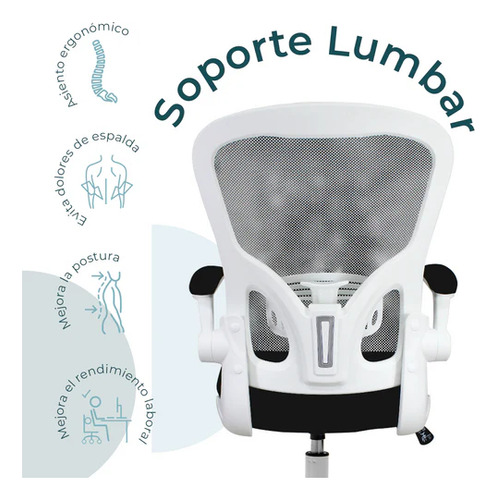 Silla Ejecutiva Vest W Con Soporte Lumbar De Tela Mesh