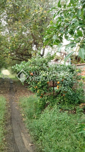 Imagem 3 de 11 de Terreno - Gloria - Ref: 264907 - V-264907