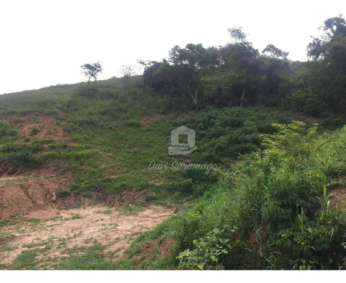 Imagem 13 de 22 de Terreno Amplo Para Desenvolvimento Imobiliário. - Te0019