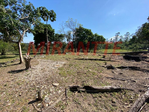 Imagem 12 de 18 de Terreno Em São Vicente - Mairiporã, Sp - 371687