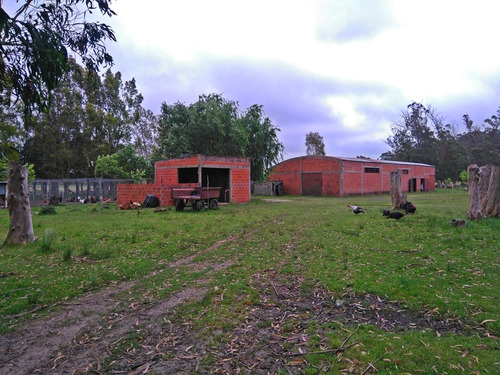 Imagen 5 de 13 de 60 Hectareas Sobre Asfalto, Veronica, Punta Indio