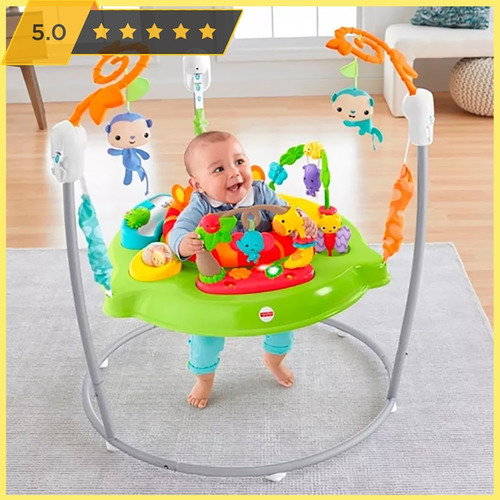 60 Dias Jumperoo Fisher Price Locação - Só Cidade São Paulo