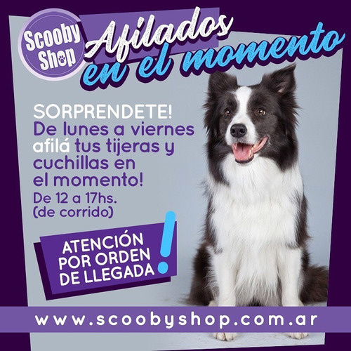 Imagen 2 de 6 de Cuchilla Oster Andis Whal Gts Laube Afilado En El Acto