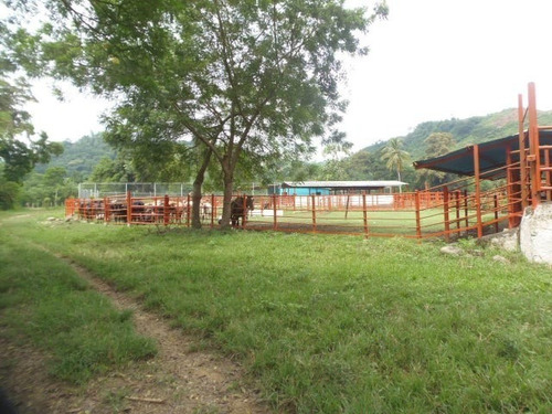 Imagen 17 de 30 de Finca En Venta San Felipe 1500 Ha, #23-14481