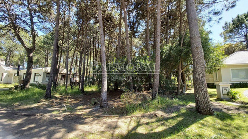 Imagen 3 de 4 de Lote En Venta - Zona Aromos / Ref: 1572