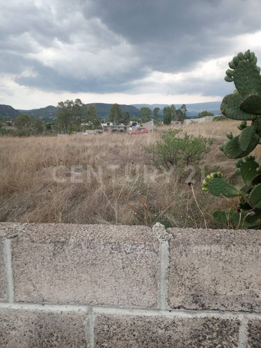 Imagen 4 de 6 de Venta De Terreno En La Purificación, Texcoco, Edo México