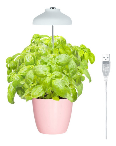 Luz Led Para Plantas Growled Charlotte- Planta Interior