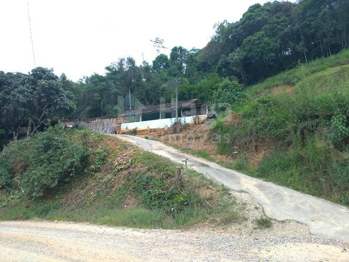 Imagem 2 de 4 de Chácara À Venda No Bairro Santa Luzia - Brusque/sc - 1277c