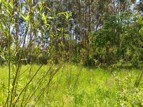 Imagen 4 de 4 de Fracción En Venta En Punta Indio