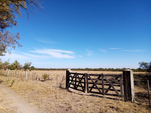 Imagen 9 de 14 de Campo En Venta De 24 Has. Con Casa.. Traslasierras