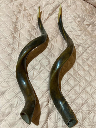 Shofar Cuerno Natural