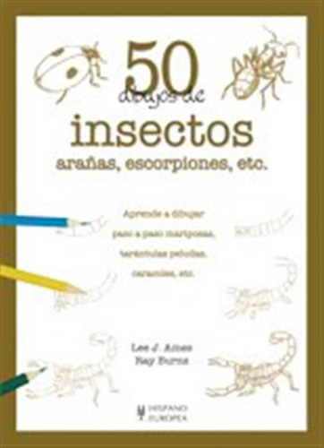 50 Dibujos De Insectos Arañas Escorpiones Etc