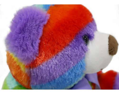Peluche Arcoíris Oso De Peluche 12 Pulgadas Alegre Su