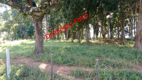 Venda - Fazenda - Zona Rural - Águas De Lindóia - Sp - D0336