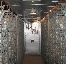 Incubadoras Para 100.000 Huevos