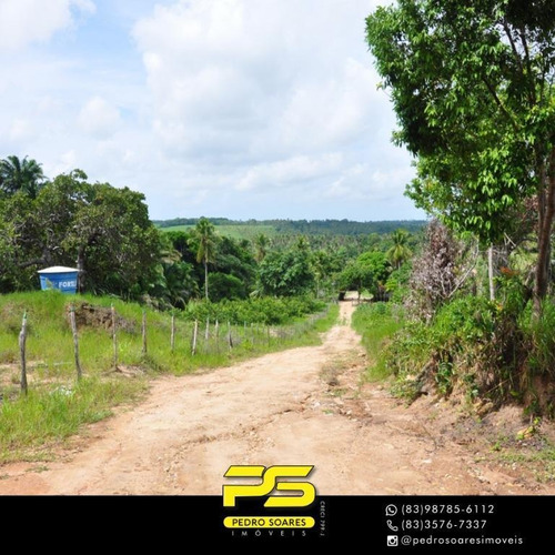 Imagem 6 de 12 de Sítio À Venda, 16 Hectares Por R$ 1.500.000 - Conde - Conde/pb - Si0015