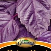 Semillas Albahaca Morada X Sobre La Germinadora Aqualive