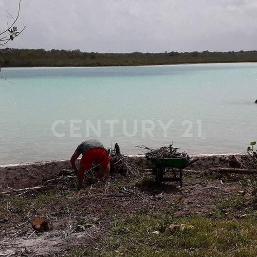 Imagen 14 de 18 de Terreno En Venta Frente A Laguna Chile Verde Cerca De Chetumal Em02021
