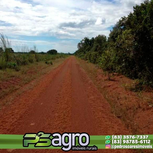 Imagem 15 de 30 de Fazenda À Venda, 430000 M² Por R$ 313.900.000,00 - Centro - Pium/to - Fa0047