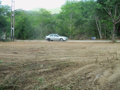 Imagen 7 de 8 de Terreno En La Poblacion De Tacarigua 21-2940