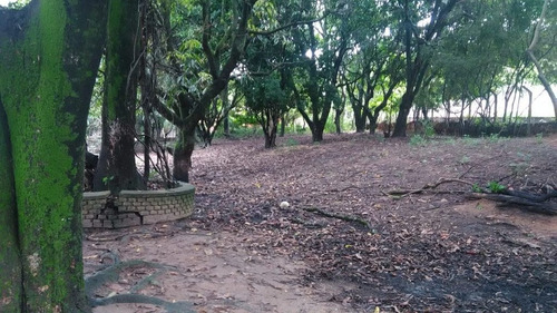 Área No Chácara Cotia - 3641