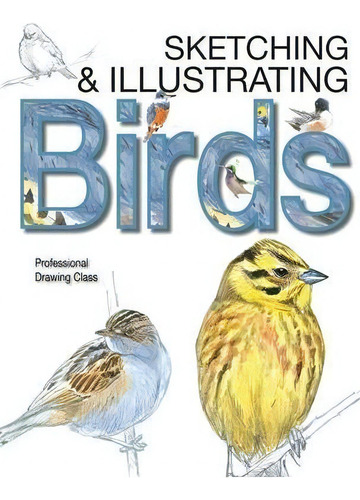 Sketching & Illustrating Birds : Professional Drawing Class, De Juan Varela Simo., Vol. 1. Editorial B.e.s., Tapa Dura En Inglés