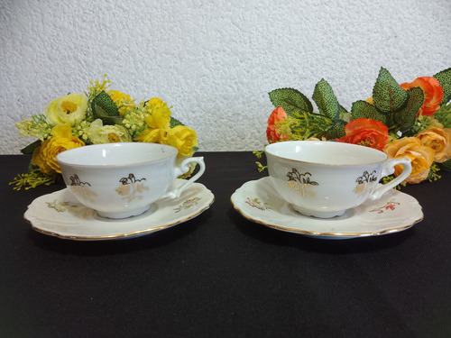 Tazas De Cafe Schlottenhof Bavaria Flores En Oro 