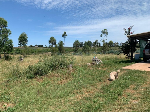 Vendo Muy Linda Chacra Con 3 Casas, 2 Galpones Y Un Parque Arbolado Único!!!!!!!!!!
