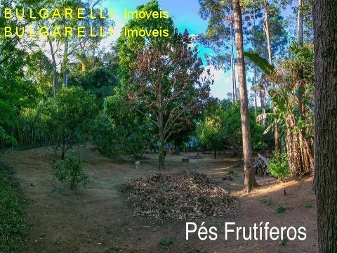 Imagem 20 de 30 de Chacara - Ch00149 - 70783275