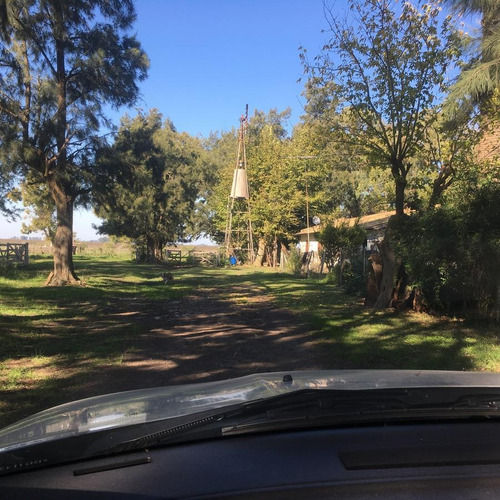 Imagen 9 de 30 de Campo En Venta En Arditti | Ruta 11-km.57 (110 Has)
