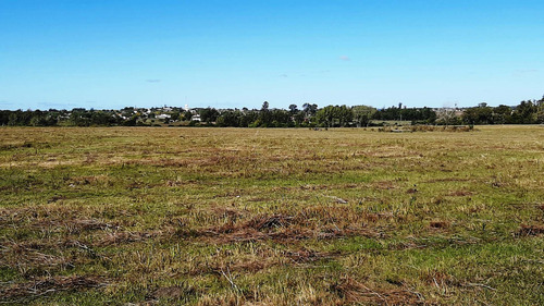 Imagen 14 de 18 de Hermosas Chacras Campos De 3 Hectareas En Tala