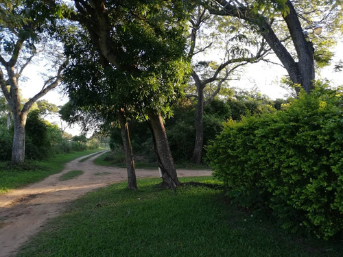 Imagen 5 de 13 de Gran Esquina Con Encanto Natural, Paso De La Patria
