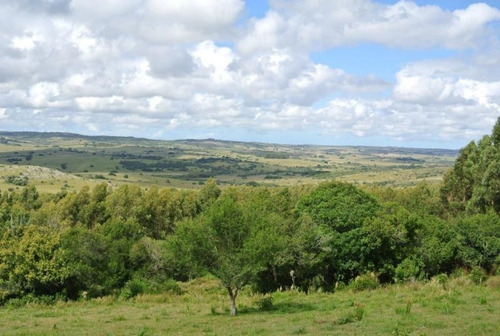 Campo En Venta