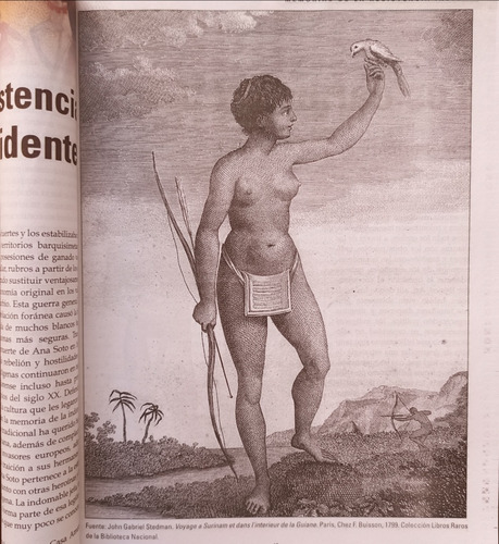 Revista Memorias De La Resistencia Indígena - Historia