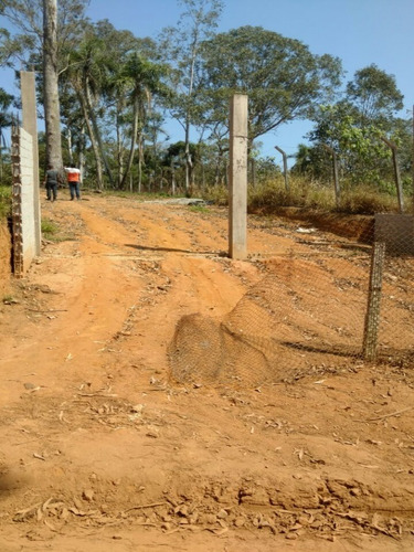 Imagem 5 de 16 de Terreno A Venda No Itaquaciara/mombaça - Te00009 - 32420434