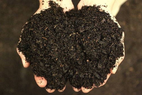Sustrato Plantas Interior 10dm3 Biofertyl Compost Organico