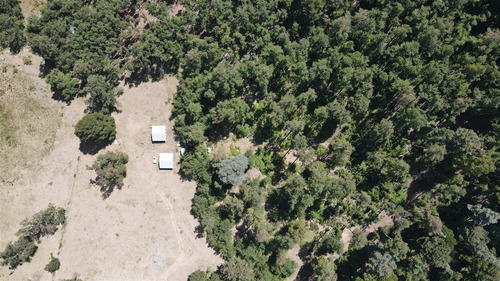 Parcela En Venta De 1 Hectarea Con Dos Casas Nuevas