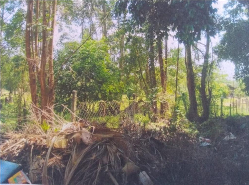 Imagem 6 de 8 de Terreno Amplo - Te2103