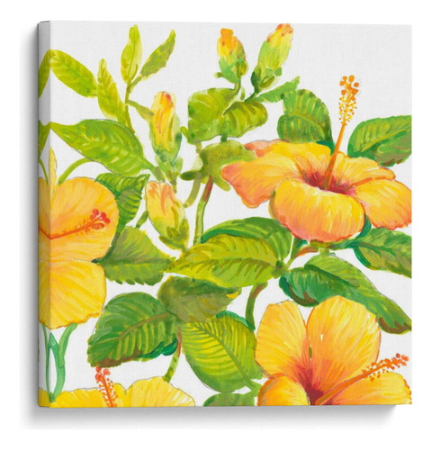 Canvas Lab Cuadro Acuarela Hibiscus Ii 80x80, Tim Otoole
