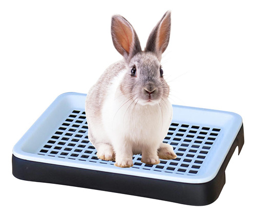 Caja De Arena Para Conejos, Cobayas, Arenero Para Hurones,