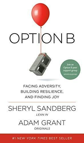 Option B: Facing Adversity, Building Resilience, And Finding