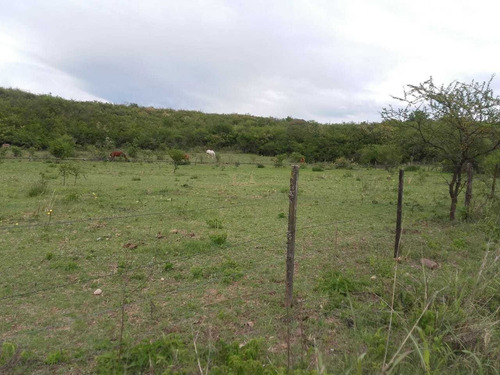 Imagen 3 de 8 de Campo En Alquiler La Granja Córdoba