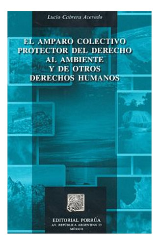 Amparo Colectivo Protector Del Derecho Al Ambiente Y De Otro, De Lucio Cabrera Acevedo. Editorial Editorial Porrúa México En Español