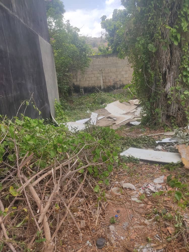 Se Vende Terreno En La Calle Carabobo/carupano Ve02-1431caru-rgon