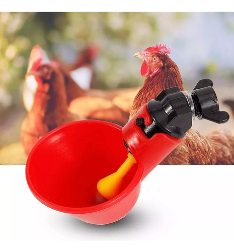 Bebedero Automático Para Codorniz Pollo Gallo 24 Uds