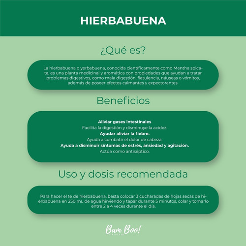 Hierbabuena 100 Gr Bam Boo! Lifestyle