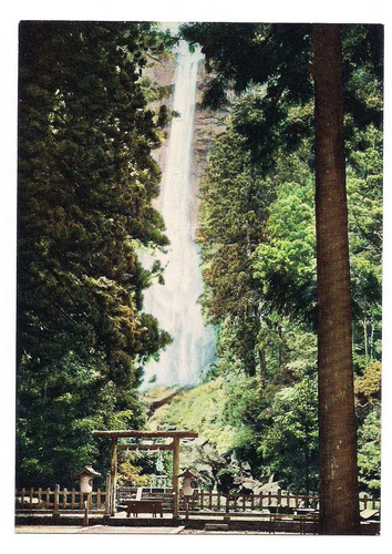 Postal Japon Salto Catarata Bosque Numero 139 B3